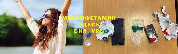 дмт Богданович