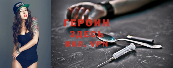 дмт Богданович