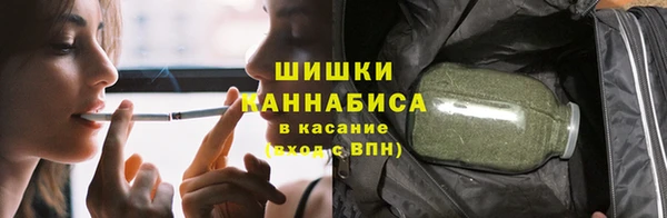 дмт Богданович