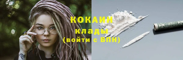 трава Богородицк