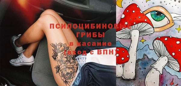 дмт Богданович