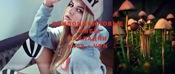 дживик Богородск