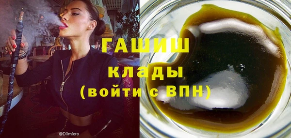 дмт Богданович