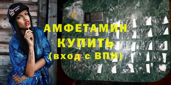 дмт Богданович