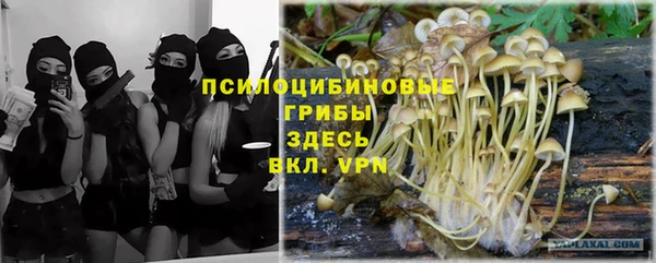 прущий лед Бронницы