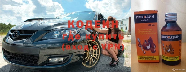 дживик Богородск