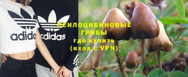 прущий лед Бронницы